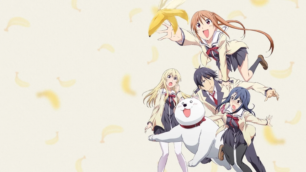 Aho Girl