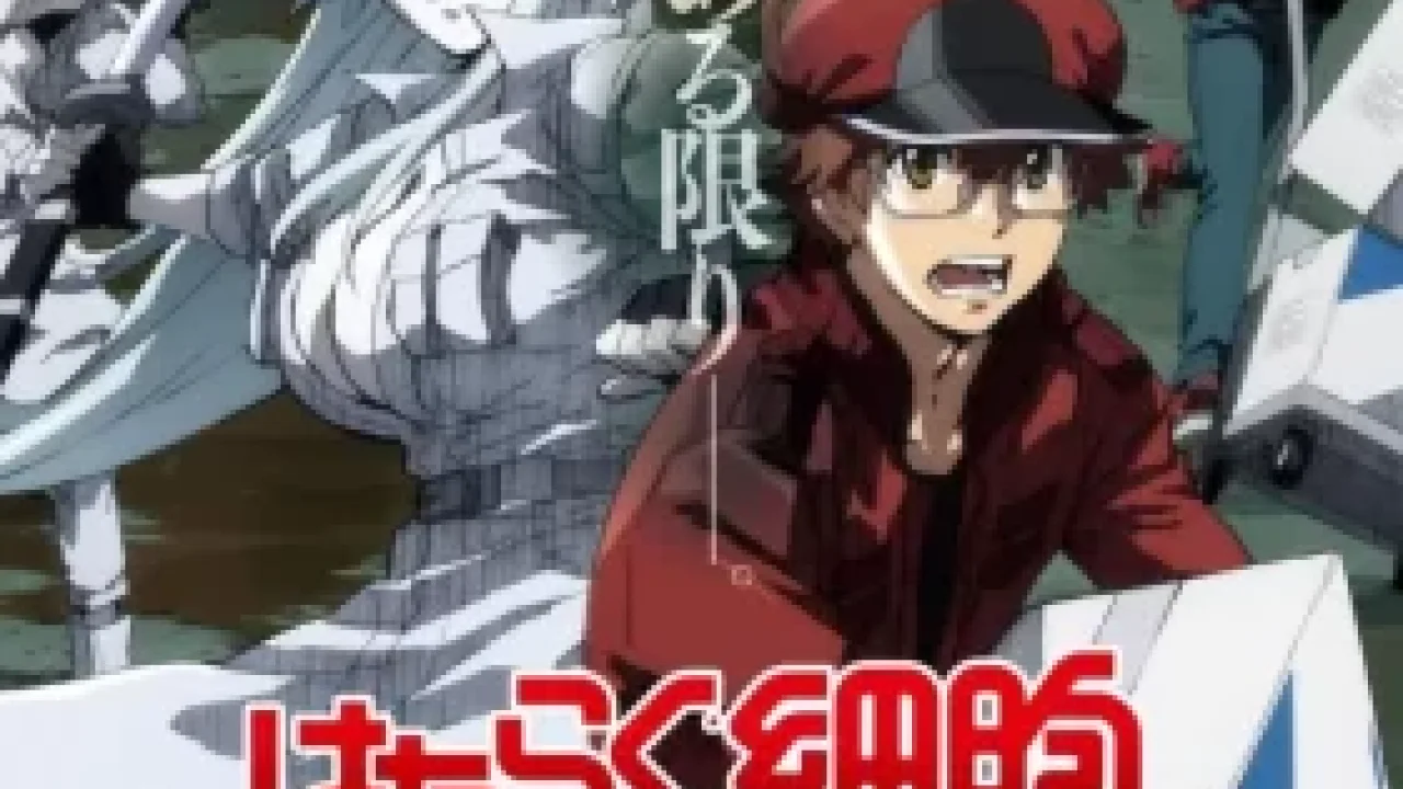 Hataraku Saibou Black